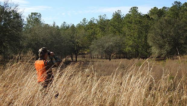 Florida Forest Service Hunting & Fishing Spots with Great Campsites