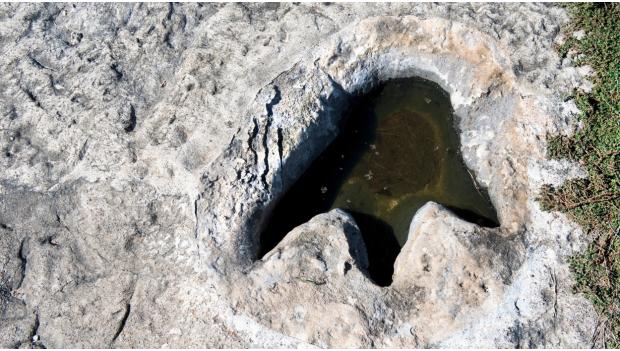 Dinosaur tracks at Dinosaur Valley State Park