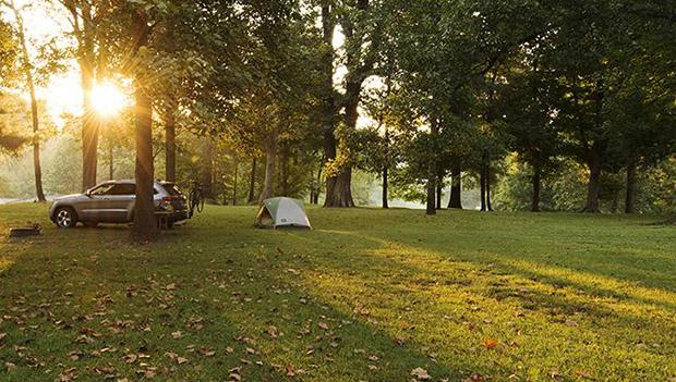 Camping with Cats